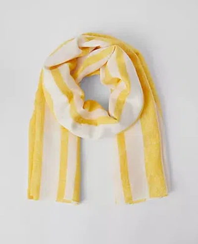 Ann Taylor Weekend Collection Striped Scarf In Mimosa