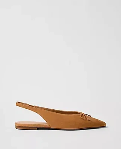 Ann Taylor Weekend Collection Suede Bow Slingback Flat In Animal Print