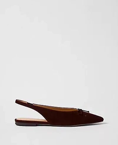 Ann Taylor Weekend Collection Suede Bow Slingback Flat In Brown