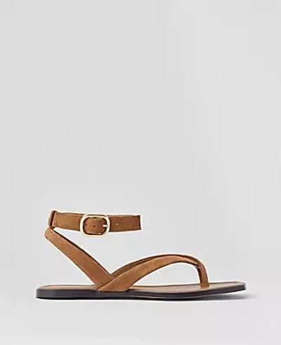 Ann Taylor Weekend Collection Suede Buckled Ankle Strap Sandals In Dark Taupe