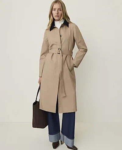 Ann Taylor Weekend Corduroy Collar Belted Coat In Brown