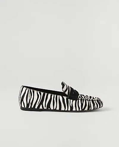 Ann Taylor Weekend Gathered Zebra Print Haircalf Loafer In Multi