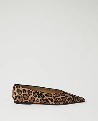 Ann Taylor Weekend Haircalf Animal Print Flat In Brown Multi