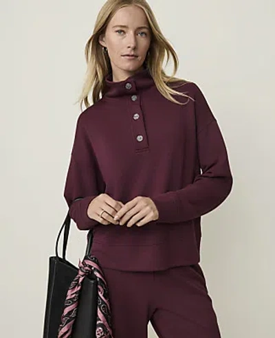 Ann Taylor Weekend Mockneck Sweatshirt In Purest Plum