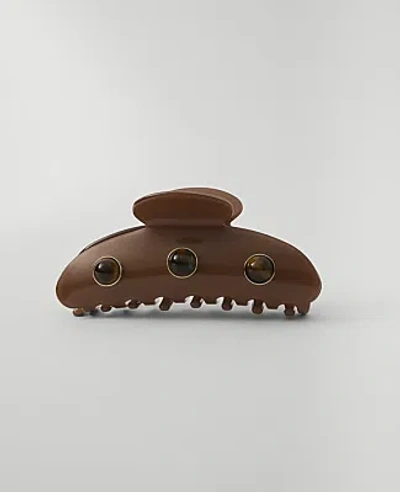 Ann Taylor Weekend Stone Claw Clip In Rich Mocha