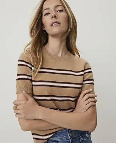 Ann Taylor Weekend Striped Sweater Tee In Camel Multi