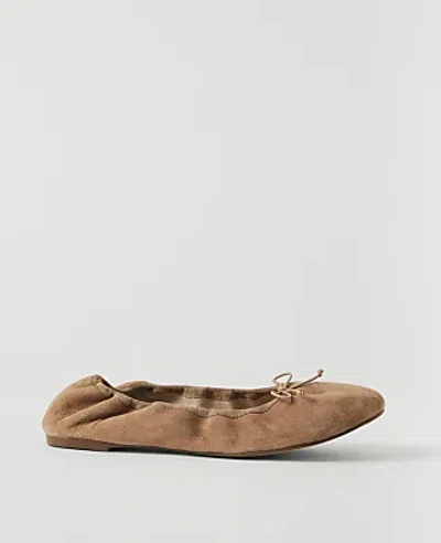 Ann Taylor Weekend Suede Bow Flat In Brown