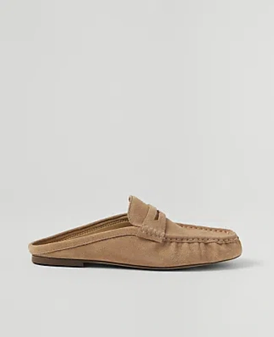 Ann Taylor Weekend Suede Loafer Slide In Dominican Sand