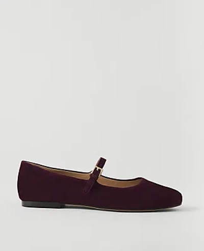 Ann Taylor Weekend Suede Mary Jane Flat In Burgundy