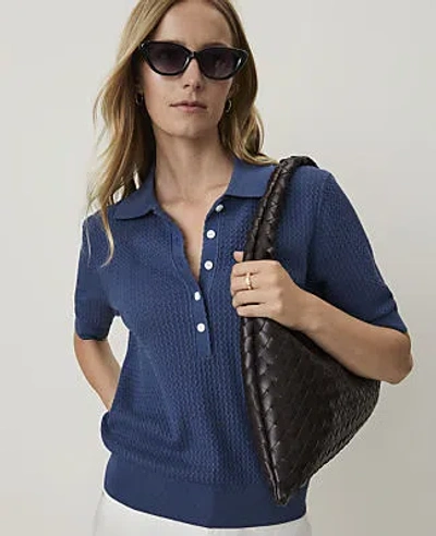 Ann Taylor Weekend Textured Henley Sweater In Ink Blue