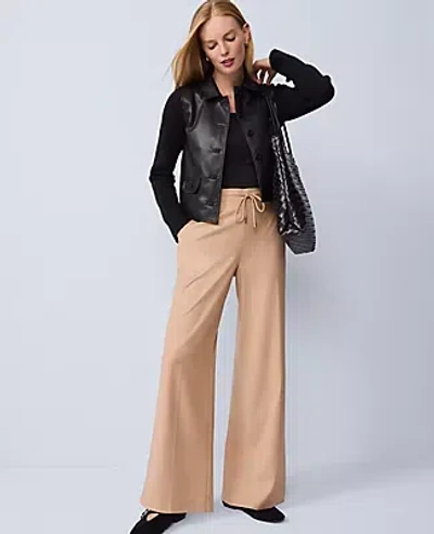 Ann Taylor Wide-leg Jogger Pant In Brown