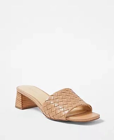 Ann Taylor Woven Strap Leather Block Heel Sandals In Desert Sand