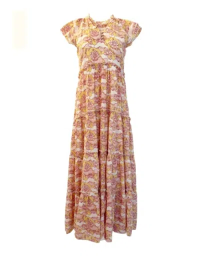 Anna Cate Aimee Maxi In Pink Fields In Multi