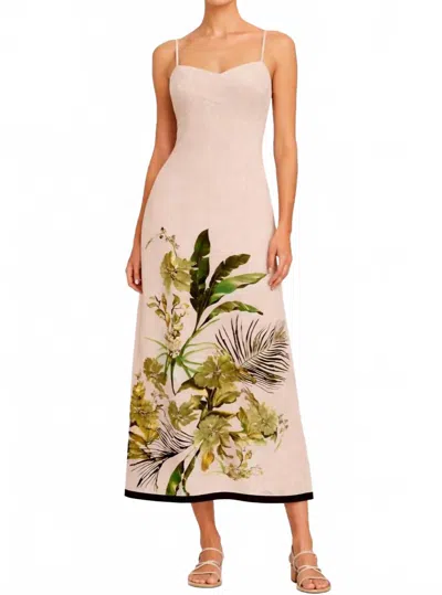 Anna Cate Carlie Midi Dress In Neutral Botanical In Multi