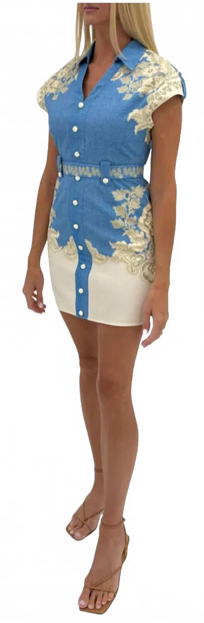 Anna Cate Colette Dress In Blue Floral