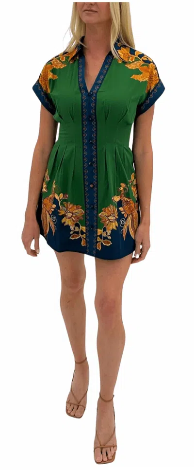 Anna Cate Grace Mini Dress In Green