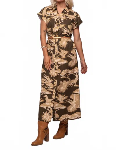 Anna Cate Iva Midi Dress In Khaki Safari In Multi