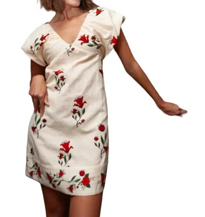 Anna Cate Jenn Dress In Red Rose In Multi