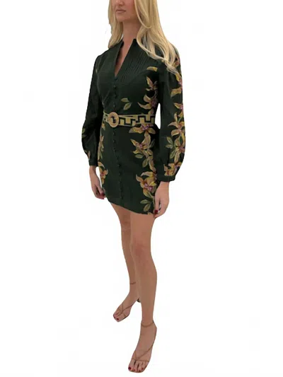 Anna Cate Jenny Mini Dress In Hunter Lilly In Multi