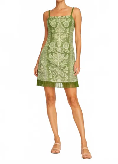 Anna Cate Parker Mini Dress In Green Ivory Lace