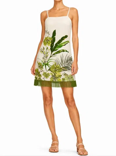 Anna Cate Parker Mini Dress In Neutral Botanical In Multi