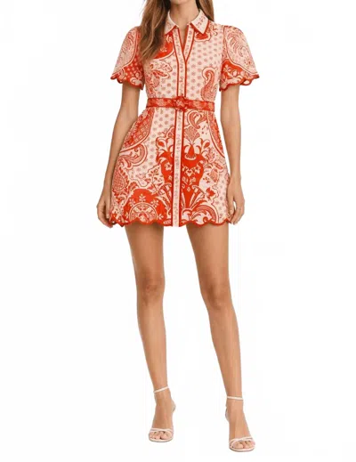 Anna Cate Poppy Dress In Summer Punch In Pink