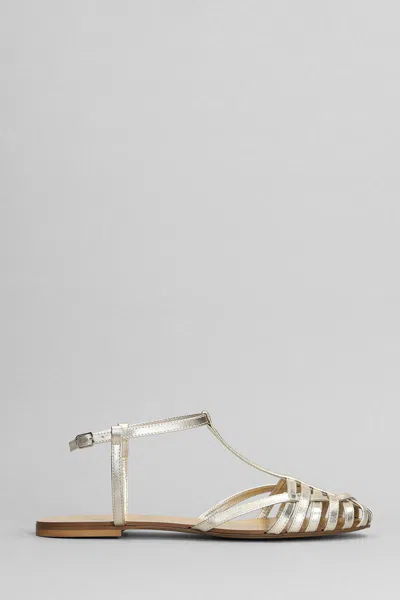 ANNA F ANNA F. FLATS