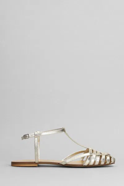 Anna F . Flats