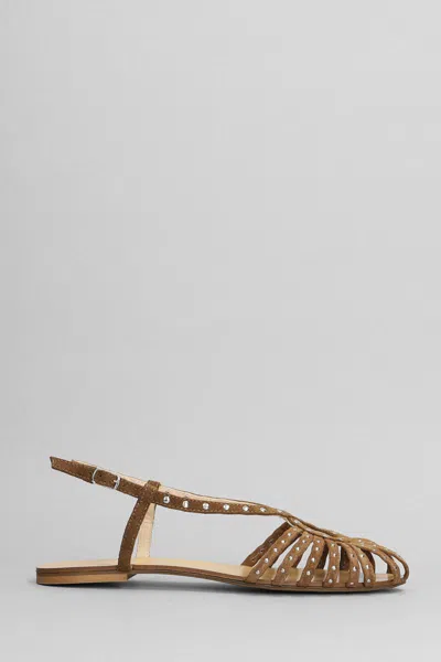 Anna F . Flats In Brown