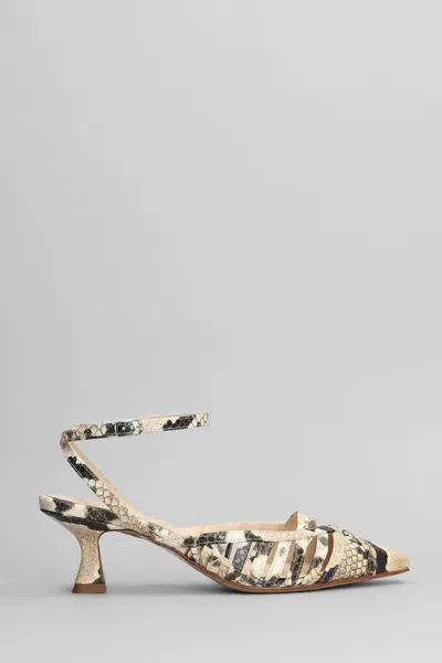 Anna F . Pumps In Multicolor