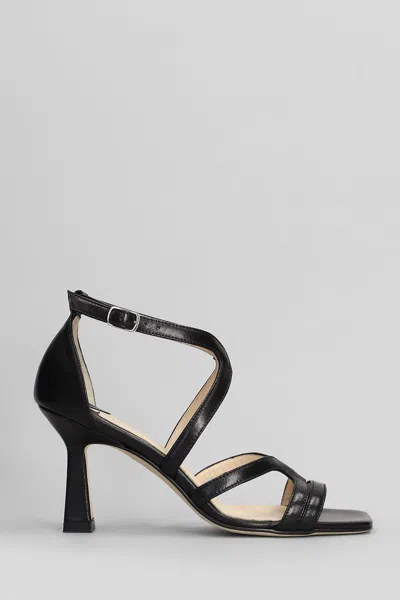 ANNA F ANNA F. SANDALS