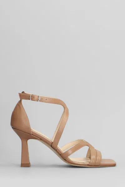 Anna F . Sandals