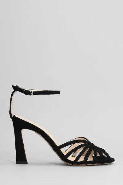 Anna F . Sandals