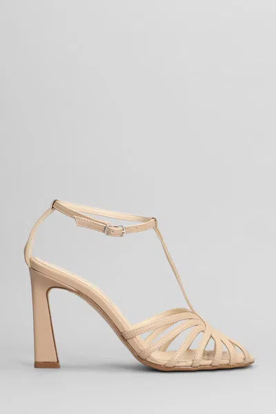 Anna F . Sandals