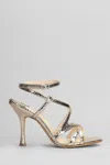 Anna F 105mm Leather Sandals