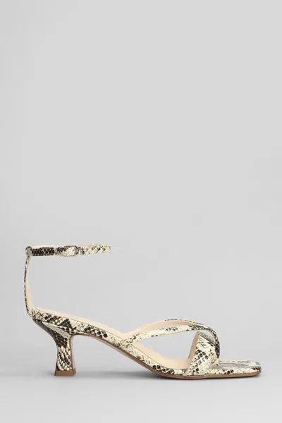 ANNA F ANNA F. SANDALS