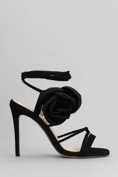 Anna F . Sandals