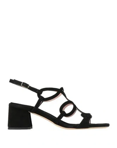 Anna F . Woman Sandals Black Size 7.5 Leather
