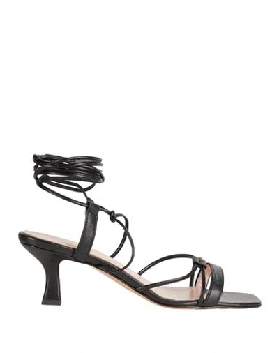 Anna F. Woman Sandals Black Size 6 Leather