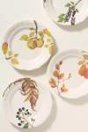 Anna Farba Harvest Stoneware Portuguese Dessert Plates, Set Of 4