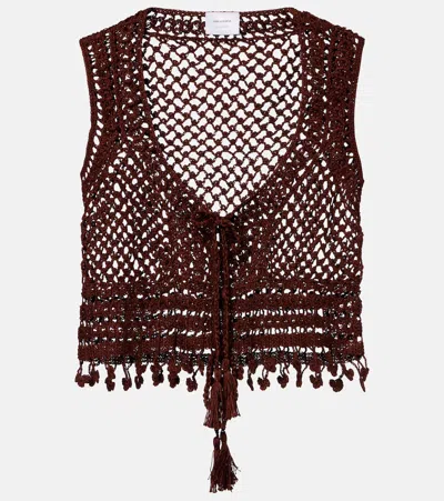 Anna Kosturova Marrakesh Crochet Cotton Crop Top In Brown