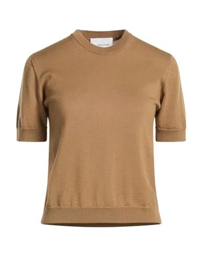 Anna Molinari Woman Sweater Camel Size 12 Merino Wool In Brown
