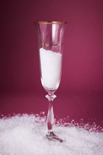 Anna + Nina Dry January Champagne Flute