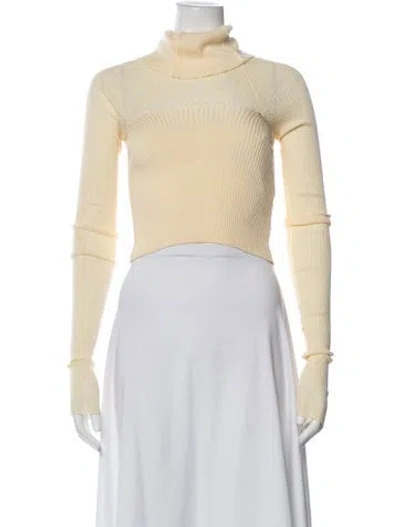 Pre-owned Anna October Turtleneck Sweater In Neutrals
