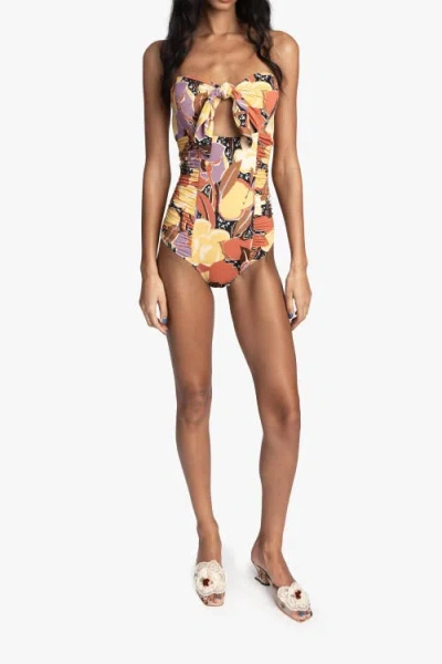Anna Sui Desert Bloom Swimsuit In Multi
