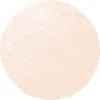 Anna Sui Illuminating Sponge Compact Refill In Clear 01