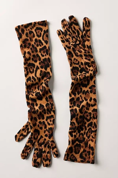 Anna Sui Leopard Longline Gloves In Brown
