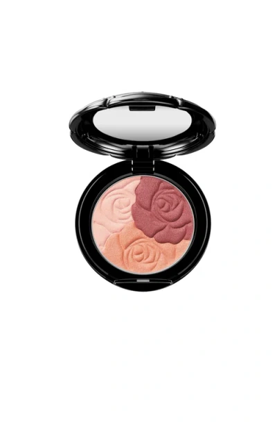 Anna Sui Rose Face Color In Multi