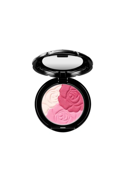 Anna Sui Rose Face Color In Pink