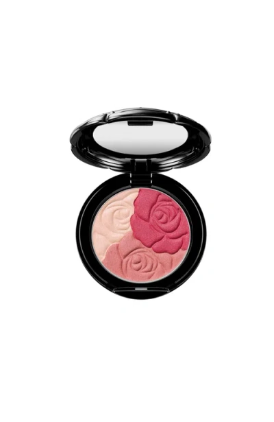 Anna Sui Rose Face Color In Pink